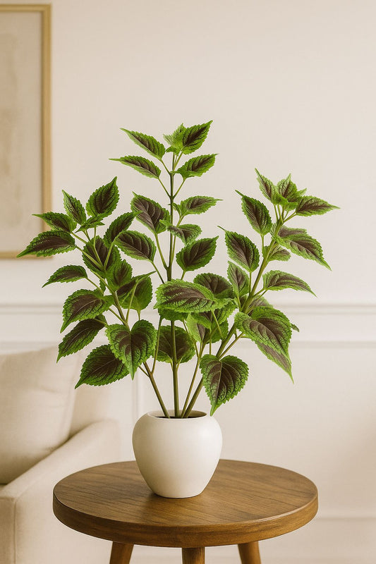 Chanley's Green Leaves